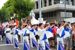 大勢の人が踊る流し踊り