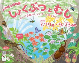 六甲高山植物園と伊丹市昆虫館の夏休みイベント
