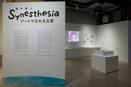 WHAT MUSEUM 展示風景