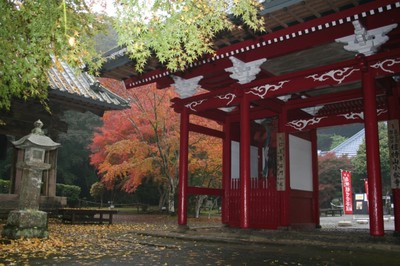 紅葉 見ごろ 南房総市小松寺 千葉県 の情報 ウォーカープラス