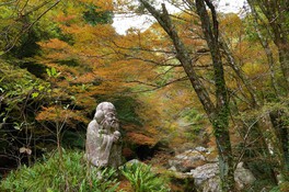 個性的な形の岩々と紅葉の織りなす景色