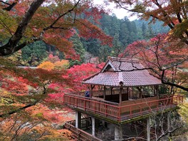 風のつり橋から望む紅葉