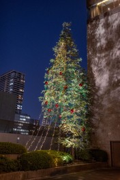 約5万球のLEDライトでホテル周辺が華やかなゴールドの光に包まれる ※画像はイメージ