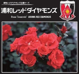 がんばれ 浦和レッドダイヤモンズ レッズローズ 植樹イベント 埼玉県 のほかに開催しているイベント情報 ウォーカープラス