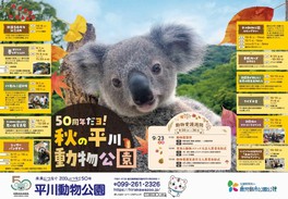 鹿児島県のイベント情報一覧 今日 30件 ウォーカープラス