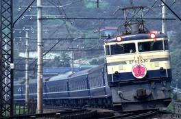ピンク桜のヘッドマーク/1975(昭和50)年7月 東海道本線真鶴〜湯河原