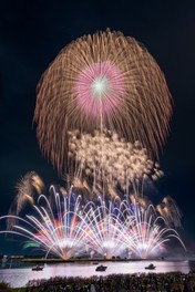 無数の花火が水面と夜空を彩る