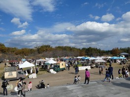 年プール営業中止 京都府立山城総合運動公園 太陽が丘 ファミリープール 京都府 の情報 ウォーカープラス