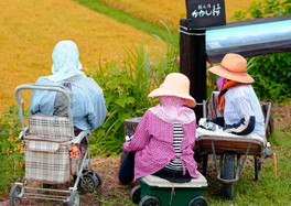 長野県の夏祭り一覧 夏休みおでかけガイド21 ウォーカープラス