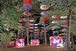 鬼怒川公園森のエリアが色とりどりの和傘で装飾される