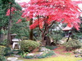 新潟県の花 自然情報一覧 11件 ウォーカープラス