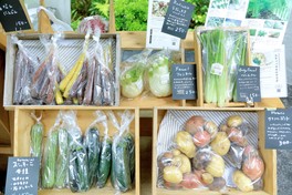 野菜や果物、種苗、パンなどの食のブースが集結