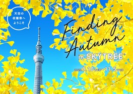 東京スカイツリーでしか体験できない秋のイベントを楽しめる