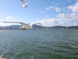 雄大で美しいびわ湖の景色を楽しめる