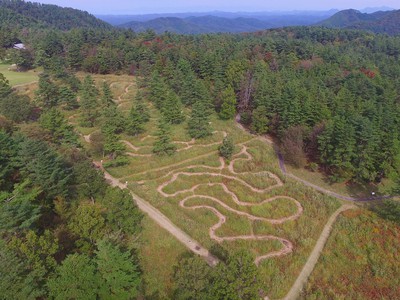 ススキの迷路 島根県 の情報 ウォーカープラス