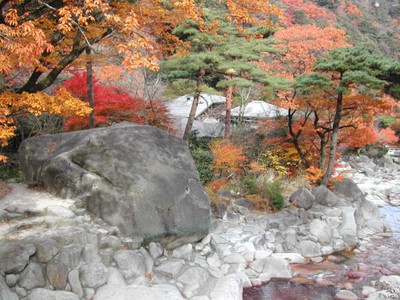 紅葉 見ごろ 湯の山温泉大石公園 三重県 の情報 ウォーカープラス