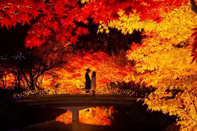 紅葉 見ごろ なばなの里 錦秋の絶景 三重県 の情報 ウォーカープラス