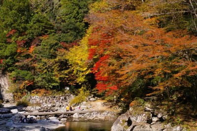 紅葉 見ごろ 安居渓谷 高知県 の情報 ウォーカープラス