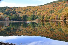 四尾連湖の湖面に紅葉が映し出される