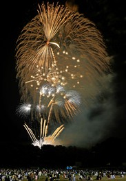 目の前で臨場感あふれる花火を楽しめる