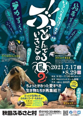 ぶっとんでるいきもの展2 秋田県 の情報 ウォーカープラス