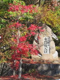 紅葉は2.4㎞の遊歩道の間鑑賞できる