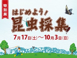 富山県のイベント情報一覧 21年8月10日 火 3件 ウォーカープラス