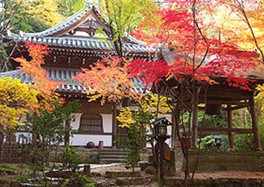 絵のように綺麗な本堂周辺の紅葉