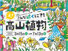 身近ではあまり見られない高山植物が楽しめる