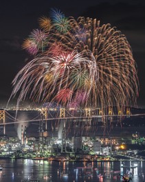 夜空を彩る極彩色の大輪花火