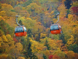 ゴンドラで空中散歩を楽しみながら紅葉狩りができる