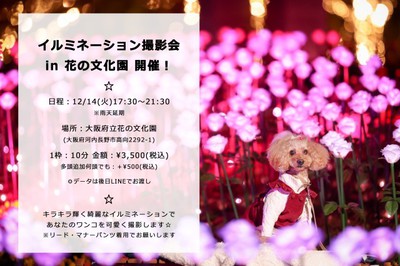 One Fr ワンフレ イルミネーション撮影会 In 花の文化園 大阪府 の情報 ウォーカープラス One Fr ワンフレ イルミネーション撮影会 In 花の文化園 大阪府 の情報 ウォーカープラス