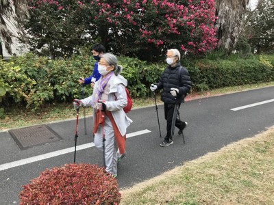 はじめてのノルディックウォーキング教室 紅葉の狭山境緑道を歩こう 東京都 の情報 ウォーカープラス