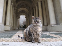 イタリア、ローマ