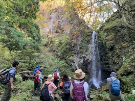 厳かな滝と紅葉のコントラストは圧巻