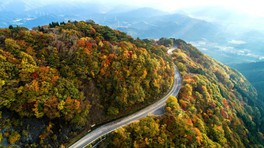 中山七里の紅葉 岐阜県 の情報 ウォーカープラス