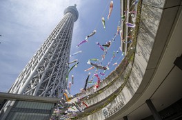 東京スカイツリータウン こいのぼりフェスティバル 2024