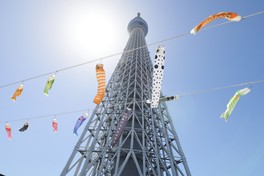 東京スカイツリータウン各所で色とりどりのこいのぼりが春風に舞う光景を楽しめる ※画像は過去の様子