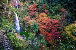 紅葉シーズンには滝周辺のモミジが見頃を迎える
