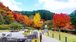 モミジやカエデなどの紅葉とのコントラストが訪れる人を楽しませる