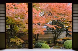 客殿から眺める「四海唱導の庭」の鮮やかな紅葉
