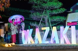 ライトアップとイルミネーションのコラボで岡崎公園が幻想的に彩られる