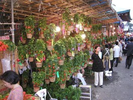 浅草駅 東京都 東武伊勢崎線ほか 周辺のイベント情報一覧 4件 ウォーカープラス