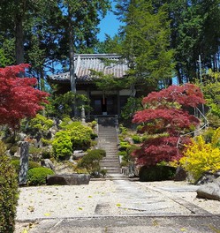 美しく手入れされた境内は秋になると色づく木々の葉で華やかに彩られる