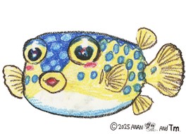 さかなクンによるオリジナルイラスト原画を展示