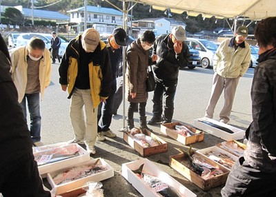 萩 年末お魚市 山口県 の情報 ウォーカープラス