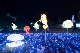 30万球の光り輝くイルミで田井庄池公園が華やかに演出される