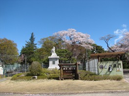 動物園の門の周囲をソメイヨシノが飾る