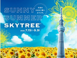 「天空のひまわり畑」をテーマにした初の夏イベント