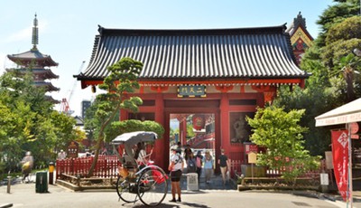 隅田川 お花見人力車 浅草むぎとろランチ 東京都 の情報 ウォーカープラス